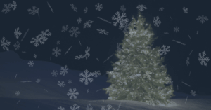 Winter Wonderland Experience