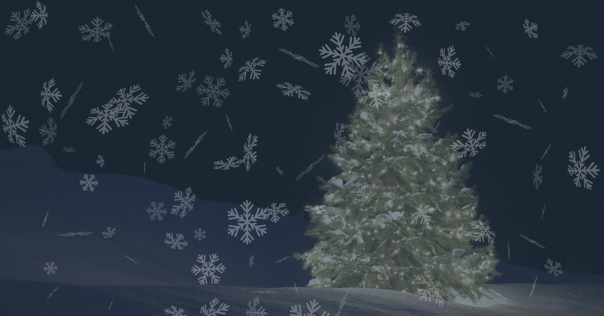 Winter Wonderland Experience